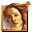 common/icons/ai.gif